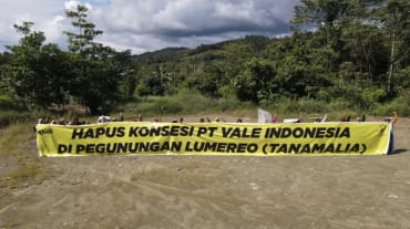 Transparent "Entzug der Konzession von PT Vale Indonesia im Lumereo Gebirge (Tanamalia)"
