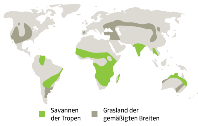 Weltkarte - Savannen und Grasländer