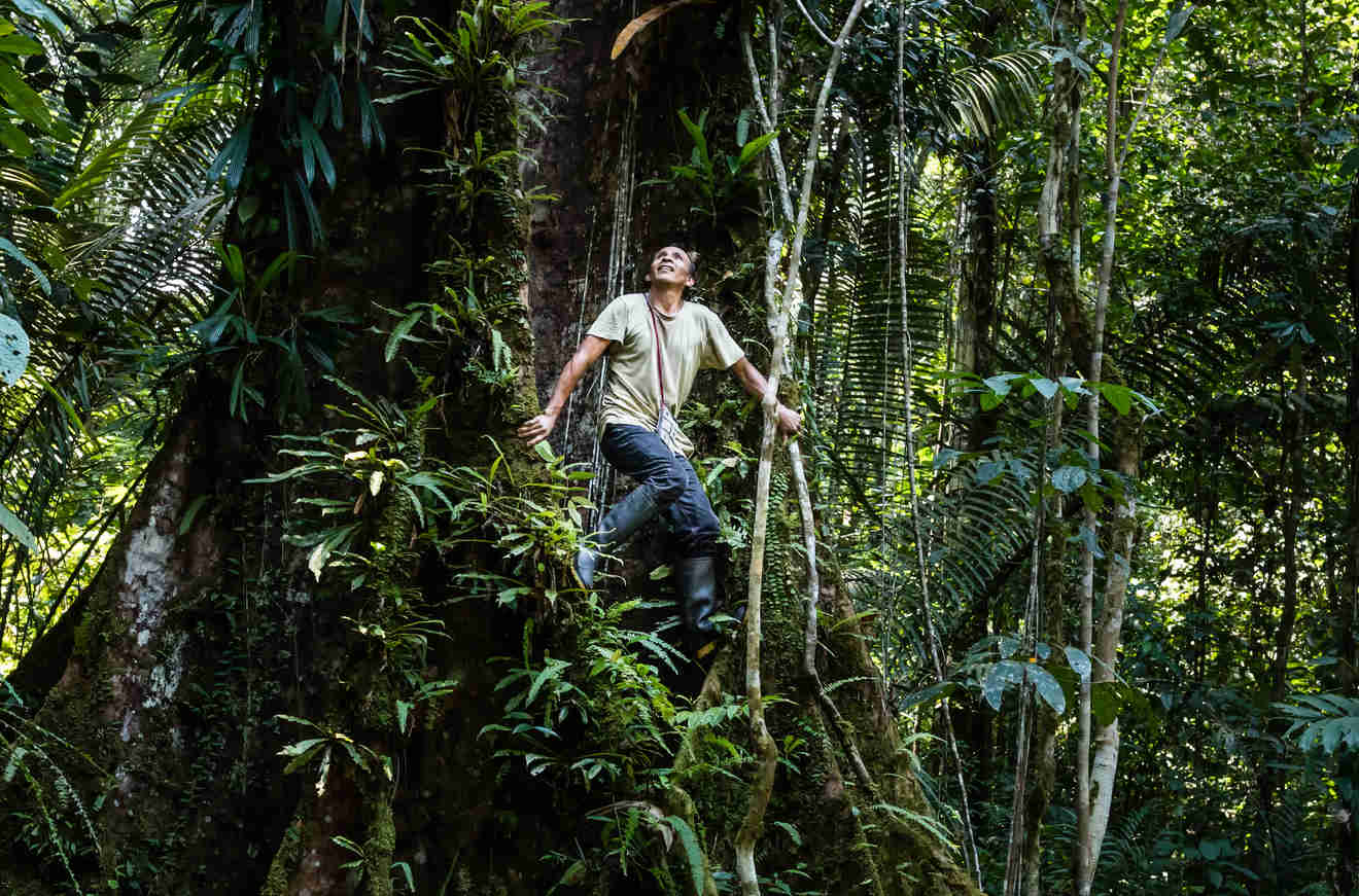 Vavada tragamonedas de aventuras en la selva