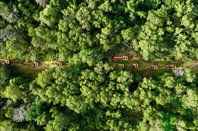 Drohnenfoto von langer Reihe Bagger durch Regenwald