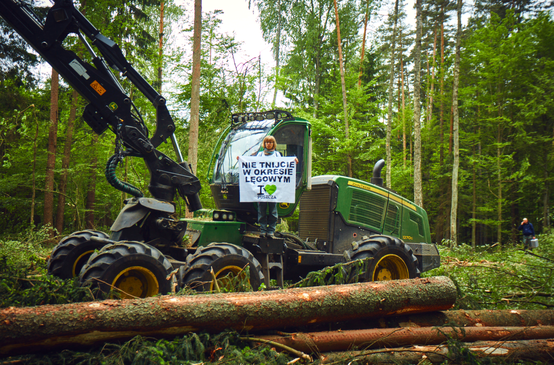 Protest gegen Rodung im Welterbe Bialowieza (Polen)