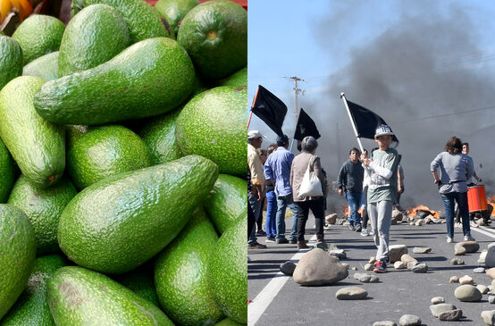 Collage: Avocados (li.) - Demonstration in Chile (re.)