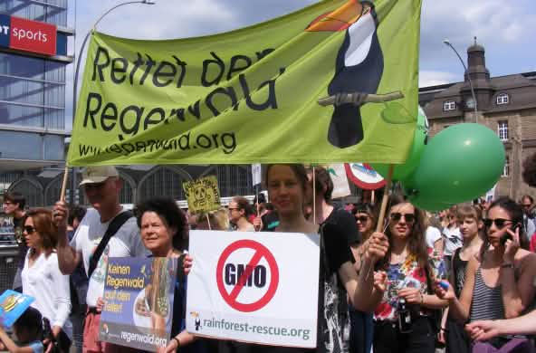 Die hamburger Regionalgruppe von Rettet den Regenwald hält auf einer Demo gegen Monsanto ein Banner und Plakate in die Höhe.