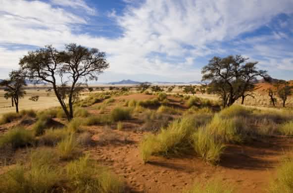 Buschland Namibia