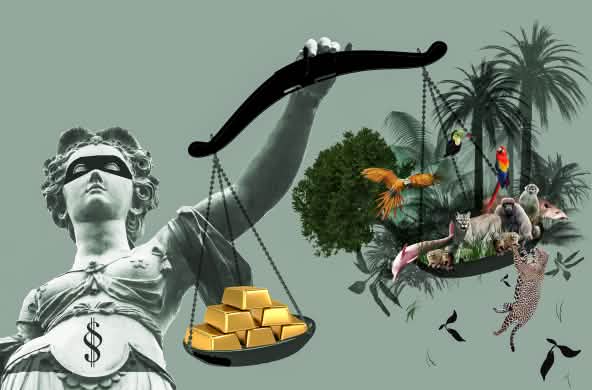 In Justicias Hand die Waagschalen mit Gold auf der einen und Regenwald auf der anderen Seite. Das Gold ist schwerer.