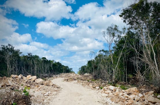 In den Regenwald für die Bahntrasse des Tren Maya geschlagene Schneise