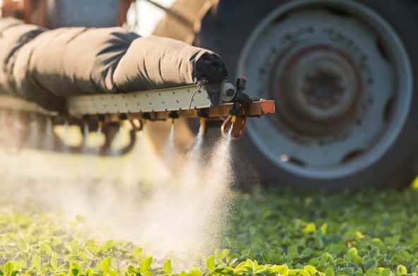 Traktor sprüht Pestizide