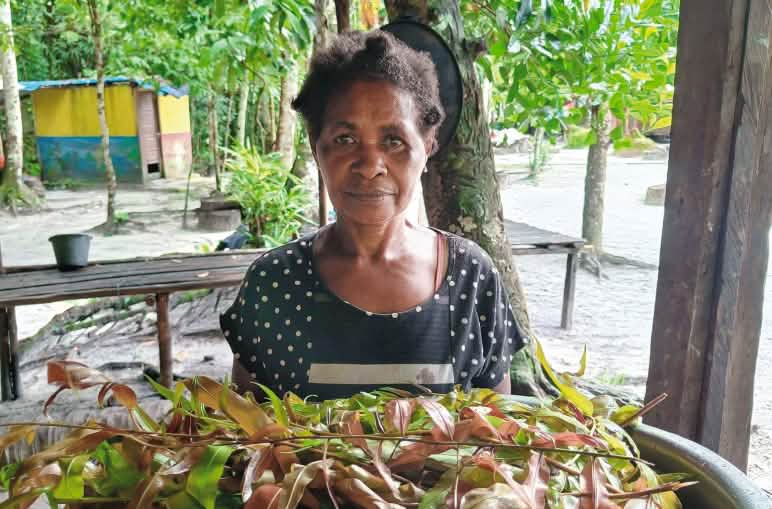 Orpa Konjol vom Afsya-Volk mit Blättern des wilden Palmfarns, eine Nahrungs- und Heilpflanze Frau mit Tablett voller Gemüseblätter