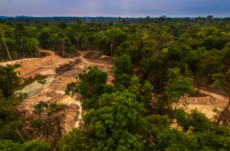 Von Goldsuchern verwüsteter Regenwald: Noch schlimmer als die Abholzung ist das Quecksilber, das die Natur vergiftet. Illegale Goldmine im Regenwald