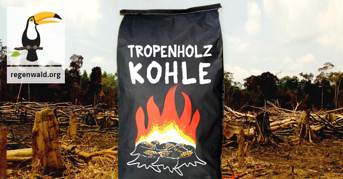 den auf Grill dem Flammen der Tropenwald - Rettet geht Regenwald Auf Holzkohle: in