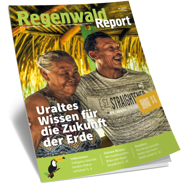 Cover Regenwald Report 02/2025