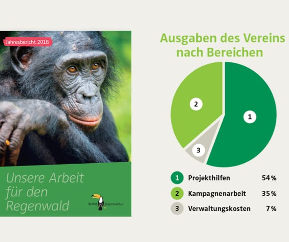 Jahresbericht 2018 - Ausgaben des Vereins