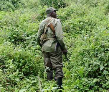 Bewaffneter Ranger im Virunga Nationalpark, DRC