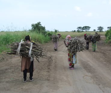 Frauen tragen Brennholz zum Dorf Vitshumbi