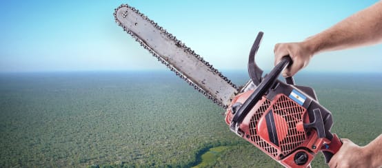 Fotomontage: Vor eine Luftaufnahme des Chaco-Waldes halten zwei Hände eine Motorsäge ins Bild