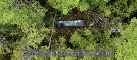 Drohnenfoto auf Wald mit Banner "Rettet den Lebensraum der Orang-Utans"