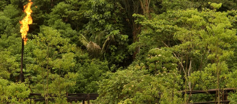 Symbolbild: Auch in Amazonien werden Erdöl gefördert und Erdgas abgefackelt Gasfackeln im Amazonasregenwald in Ecuador