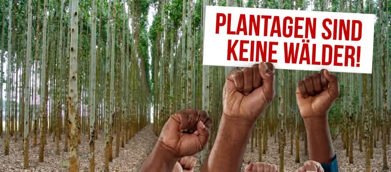 Weltweit wehren sich die Menschen gegen ökologisch wertlose Baumplantagen Collage Tag gegen Monokulturen - DE