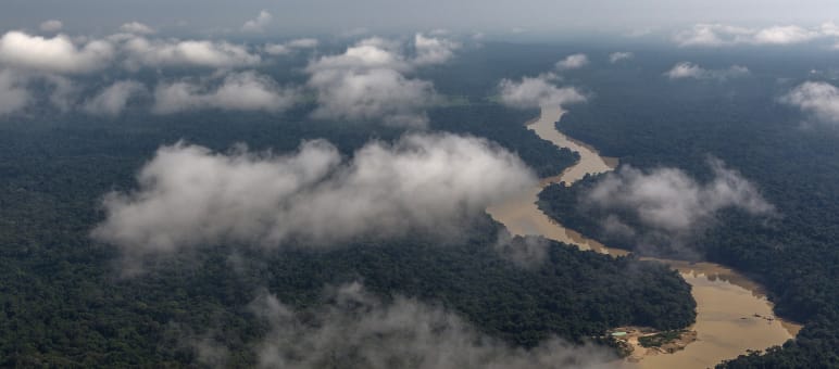 Amazonasregenwald im Bundesstaat Pará Luftaufnahme mit Wolken von einem sich durch einen Regenwald schlängelnden Fluss