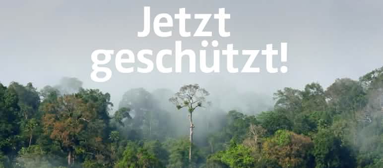 Peru: 868.927 Hektar Regenwald zum Nationalpark erklärt Amazonas Regenwald mit Text "Jetzt geschützt!"