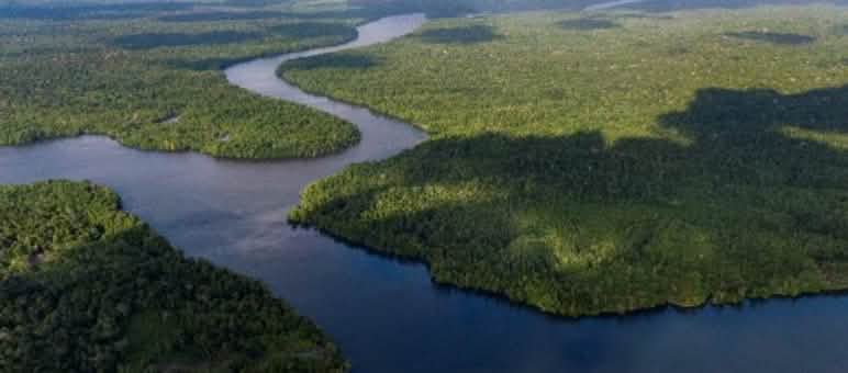 Schmale Meeresstraßen verbinden und trennen die 800 Aru-Inseln Bewaldete Inseln mit Wasser dazwischen, Indonesien