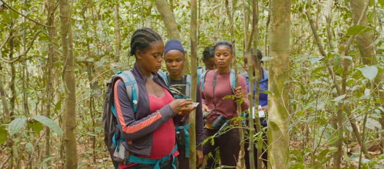 Die Eco-Guards in Liberia haben ihren Wald im Blick Eco-Guards im Regenwald in Liberia