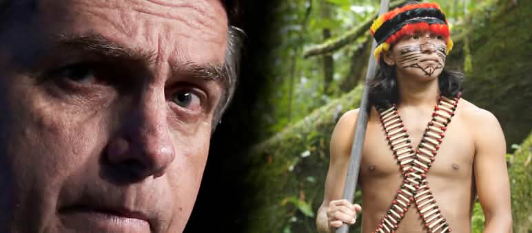 Collage - Bolsonaro vs Indigene