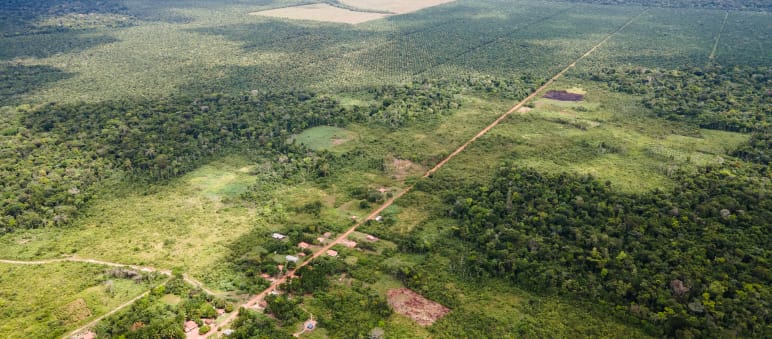Die Wahrheit über Palmöl aus dem Amazonasregenwald Luftaufnahme einer kleinen Ortschaft entlang einer schnurgeraden Piste, dahinter die in den Regenwald geschlagenen Ölpalm-Plantagen