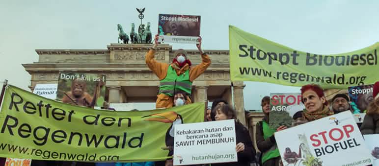 Protest am Brandenburger Tor: Biosprit vernichtet Regenwald Demo Indonesien Rettet den Regenwald Berlin Brandenburger Tor