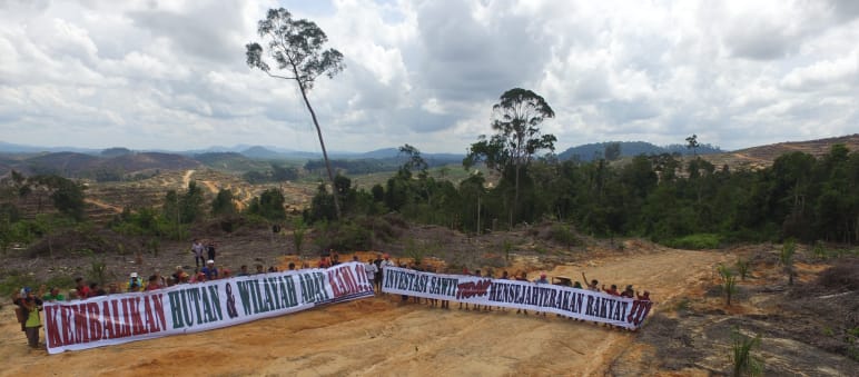 In Indonesien blockieren Einheimische Straßen, damit Holzfäller nicht immer weiter in den Regenwald vordringen können Proteste gegen Palmöl im Regenwald von Borneo