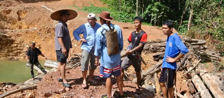 Aktivisten, die für die Rechte Indigener kämpfen, leben in ständiger Gefahr Indigene stehen auf einer Piste, die Holzfäller illegal in Sarawak angelegt haben