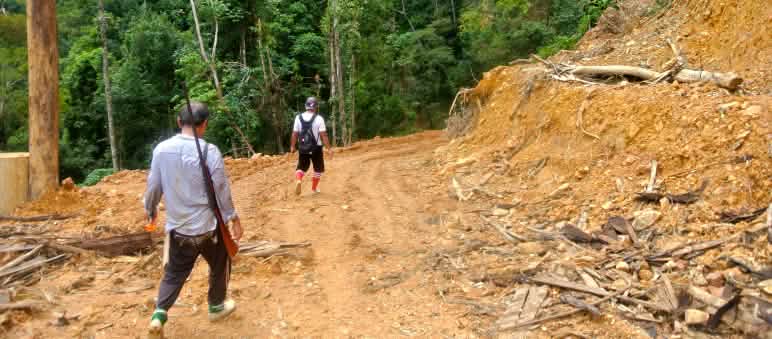 Illegale Rodung in Sarawak/Malaysia