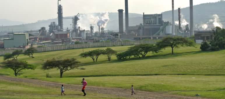 Zellstofffabrik (Symbolbild) Zellstofffabrik in Südafrika