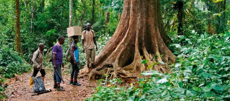 Die indigenen Ekuri bewahren ihren Wald seit Generationen Eco Guards im Regenwald