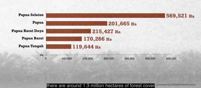 1,3 Millionen Hektar Regenwald könnten verschwinden, denn Palmölunternehmen haben bereits die Erlaubnis zum Kahlschlag. Doch die Afsya wehren sich! Grafik von Regenwald, den Palmölfirmen in Konzession haben