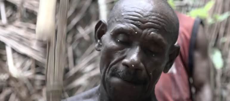 Die Sagopalme ernährt die Afsya Großaufnahme eines Papua, Filmszene