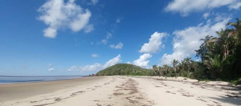 Unberührter Strand im Süden der geschützten Insel Cajual, wo der Exporthafen entstehen soll Tropischer Strand mit Palmen auf der Insel Cajual
