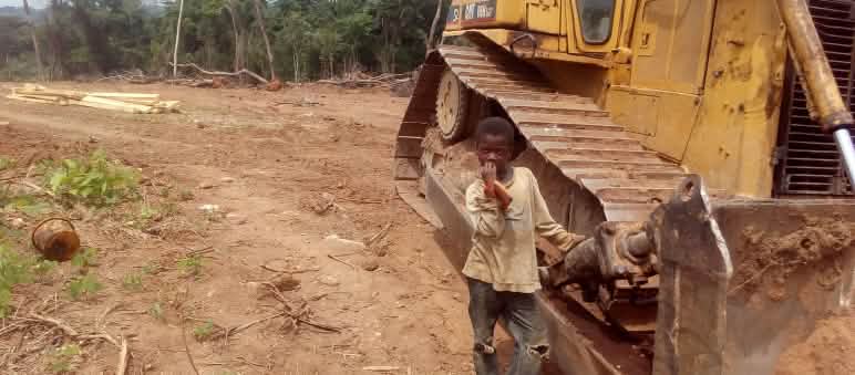 Bulldozer haben eine 100 Meter breite Schneise geschlagen Ein kleiner Junge steht neben einem Bulldozer auf einer bereits gerodeten Fläche im Regenwald