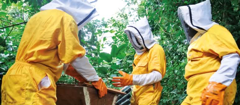 Die Imker aus dem Dorf Billibo wollen ihren Honig unter dem Lable „Liberia Pure Honey“ verkaufen. So bietet ihnen der Regenwald ein Einkommen, ohne dass sie ihn schädigen. Damit das Projekt Erfolg hat, schaut regelmäßig ein Berater vorbei Imker in Liberia