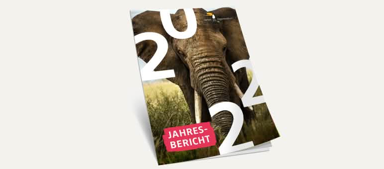 3D-Ansicht des Covers vom Jahresbericht 2022