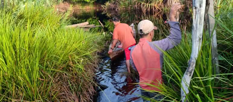 Zwei Aktivisten von Kaliptra Andalas sichern Beweise für den Kahlschlag und die Entwässerungskanäle in den Torfmooren. Die trockengelegten Flächen werden für Plantagen genutzt Aktivisten von Kaliptra Andalas im Kahlschlaggebiet