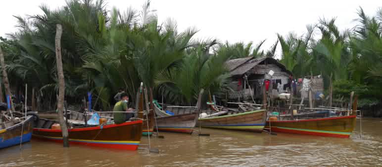 In Kuala Serapuh haben die Menschen neue Mangroven und Nipa-Palmen gepflanzt – als Schutz vor Erosion und Fluten Fischer in Booten bei Insel Kuala Serapuh, Indonesien