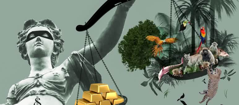 In Justicias Hand die Waagschalen mit Gold auf der einen und Regenwald auf der anderen Seite. Das Gold ist schwerer.