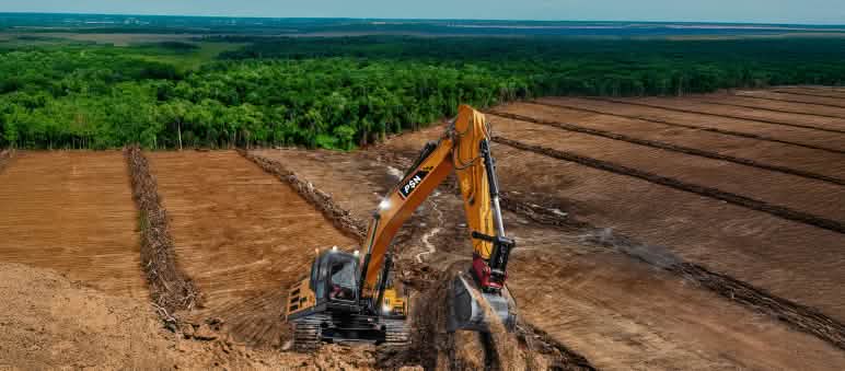 Kahlschlag von Regenwald für Zucker und Ethanol (PSN Merauke) Bagger auf abgeholztem Land. Der Wald im Hintergrund ist bedroht