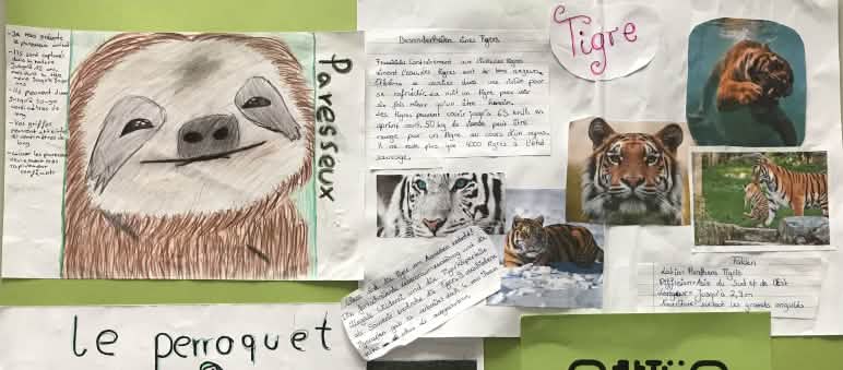 Regenwald-Poster der Klasse 6d Poster-Schulaktion