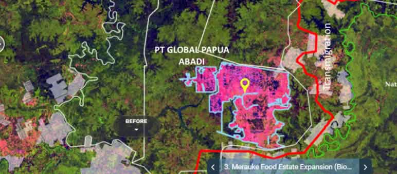 Satellitenaufnahme zeigt ungebremste Entwaldung in Merauke für Zucker, Reis und Ethanol Satellitenaufnahme mit Konzession von PT Global Papua Abadi
