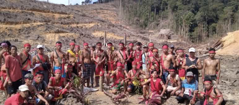 ... und das Land der indigenen Dayak am Berg Sabar Bubu geraubt Indigene Dayak auf Kahlschlag