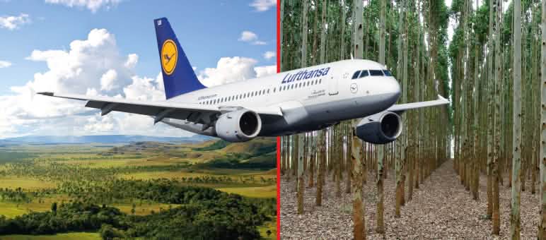 Kolumbiens artenreiche Savanne wird durch Baumplantagen zur grünen Wüste. So versteht Lufthansa Klimaschutz Collage zu Lufthansa und Klimaschutz