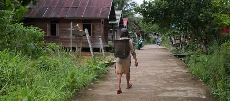 1.019 Menschen bewohnen die Waldgemeinde Tongka Ein Mann geht auf einem Pfad in ein Dorf im Wald