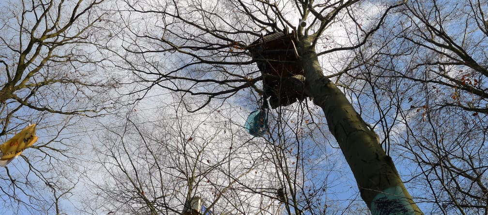 Die Baumhäuser im Hambacher Wald wurden bereits geräumt Baumhaus im Hambacher Wald